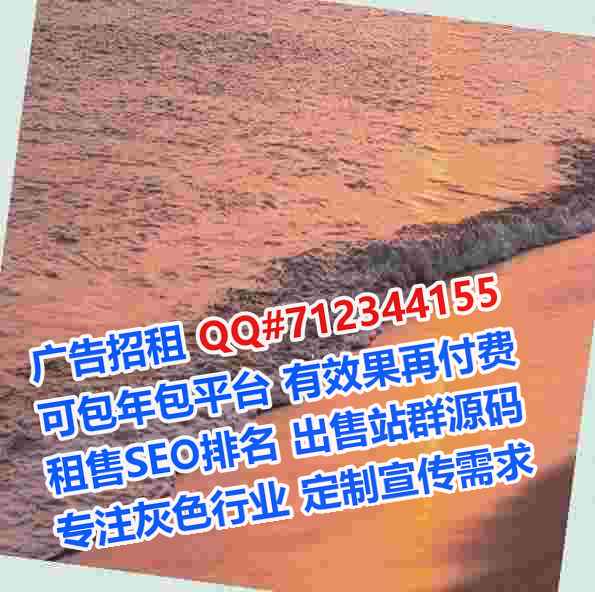 黑龙江代生电子商务工作室